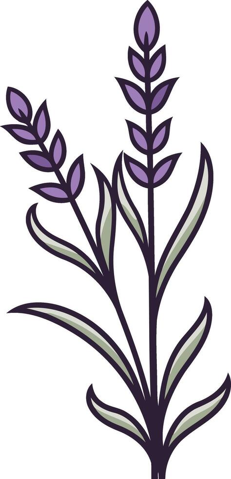 Purple Lavender Flower Illustration vector