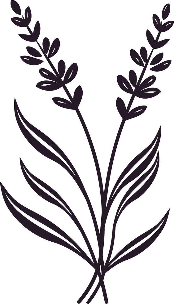 Simple Line Art Illustration of Lavender Flowers vector