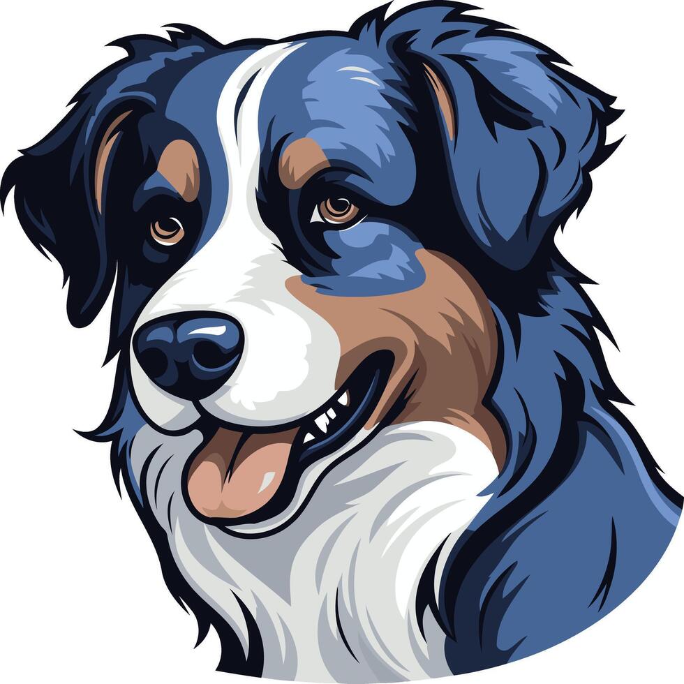 Australian Shepherd Portrait vector