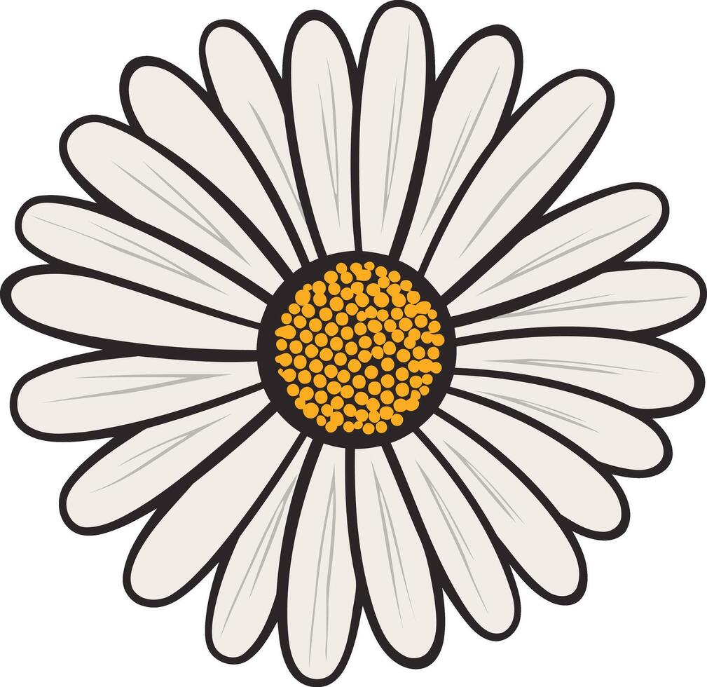 Simple Illustration of a Daisy vector