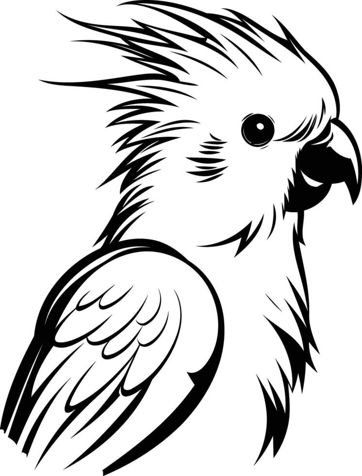 Black and White Cockatoo Illustration vector
