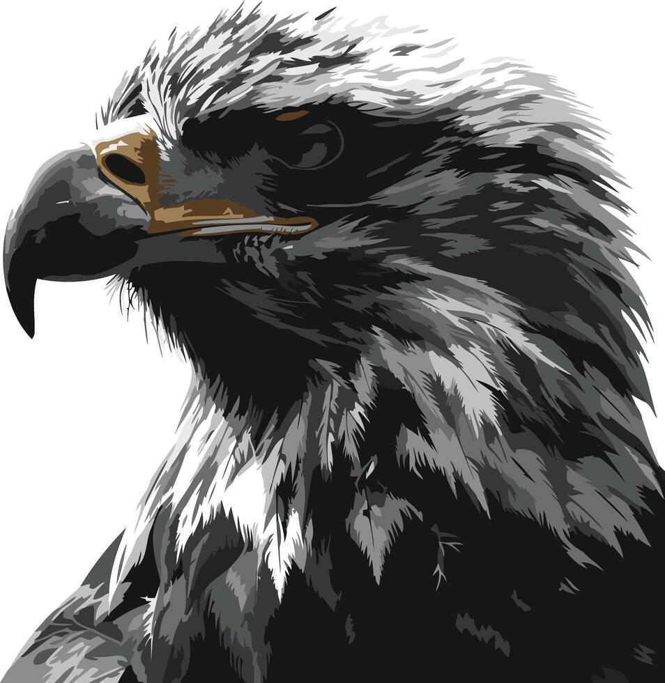 Close up Portrait of a Powerful Eagle vector