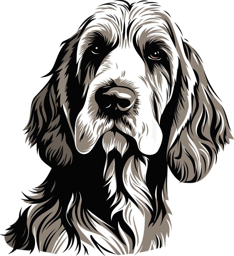 Dog Portrait with Elegant Fur and Intense Gaze vector