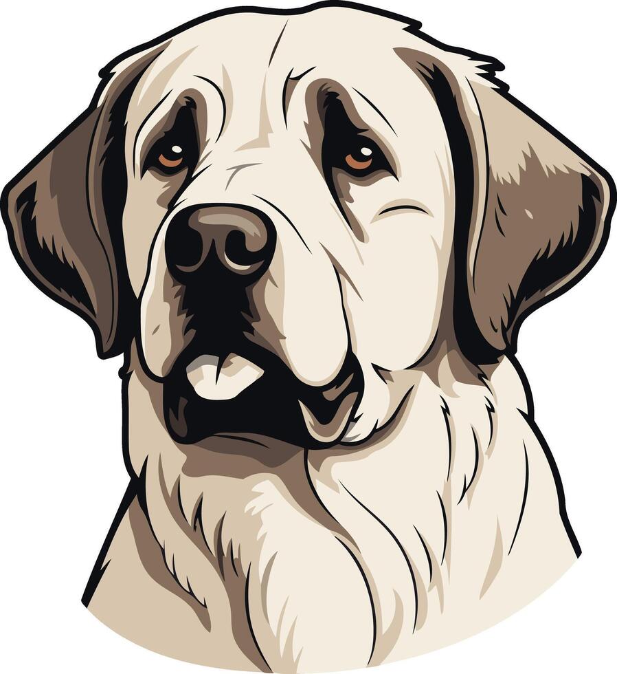 Portrait of a Golden Retriever vector