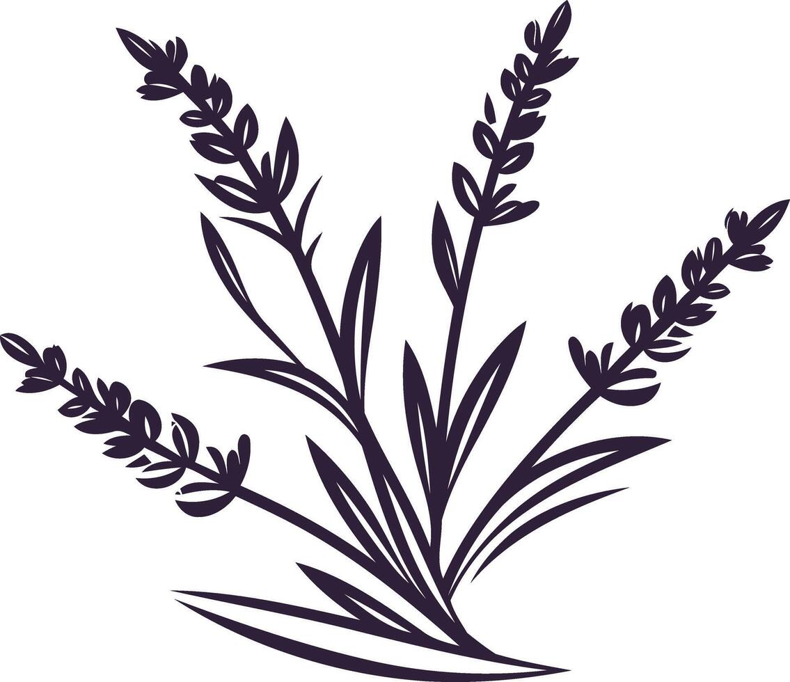 Elegant Lavender Illustration vector