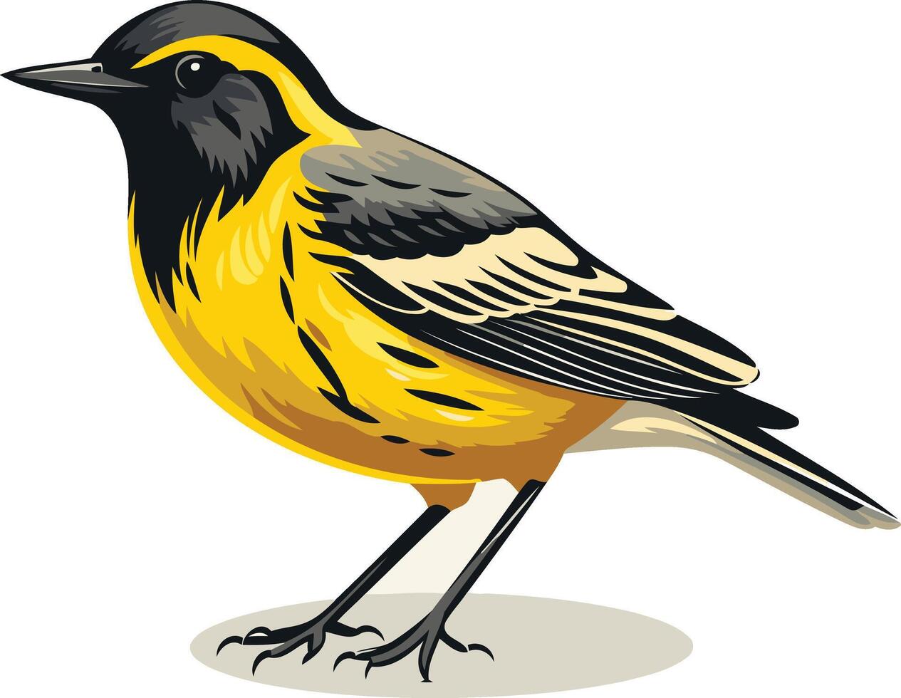 Yellow rumped Warbler in Flight vector