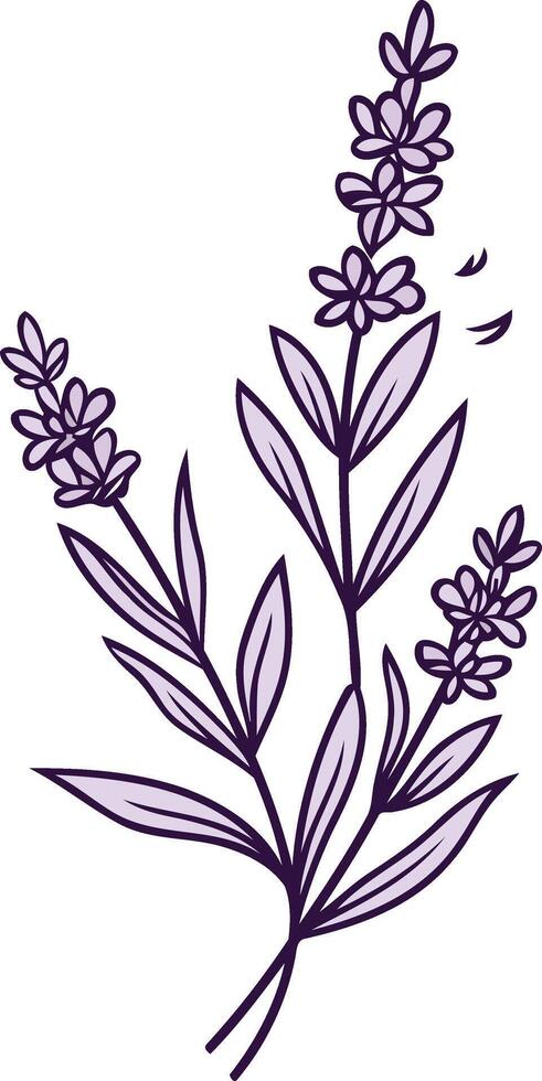 Lavender Sprig Illustration vector