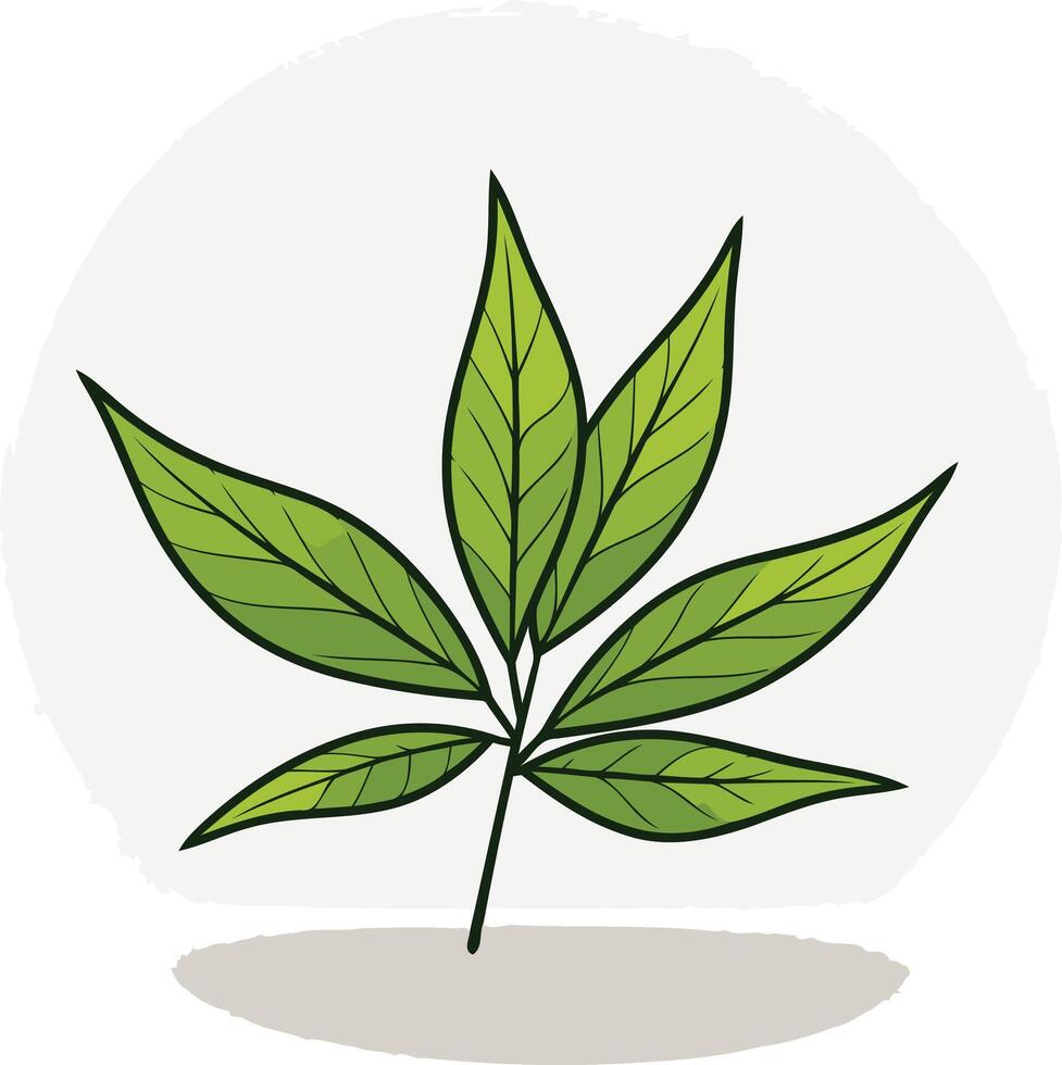 Hand-Drawn Green Leaf Illustration vector