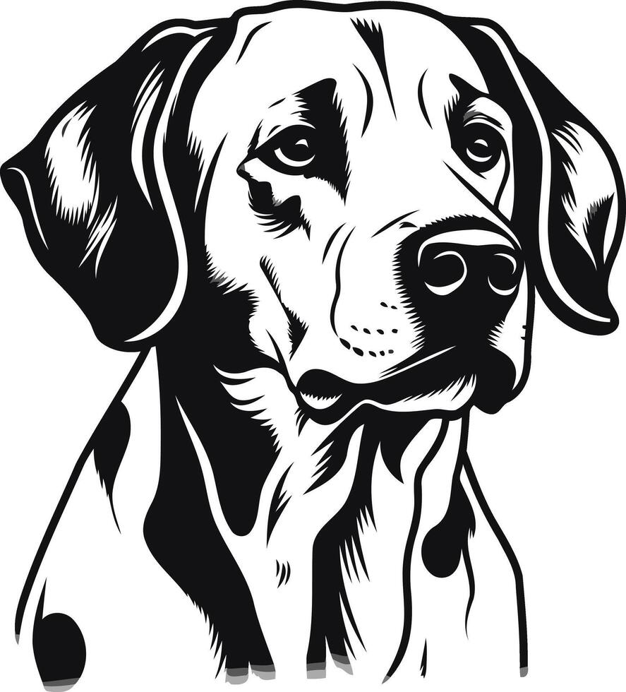 Dalmatian Dog Portrait in Black and White vector