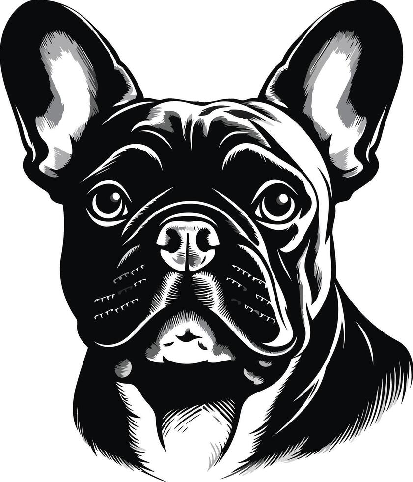 Portrait of a French Bulldog vector