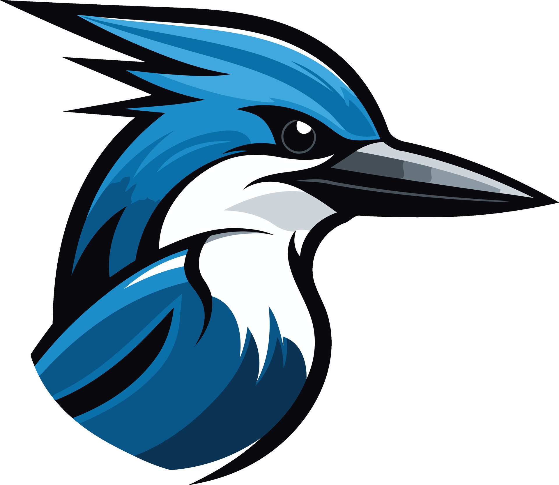 Blue Jay Mascot Illustration 49259134 Vector Art at Vecteezy