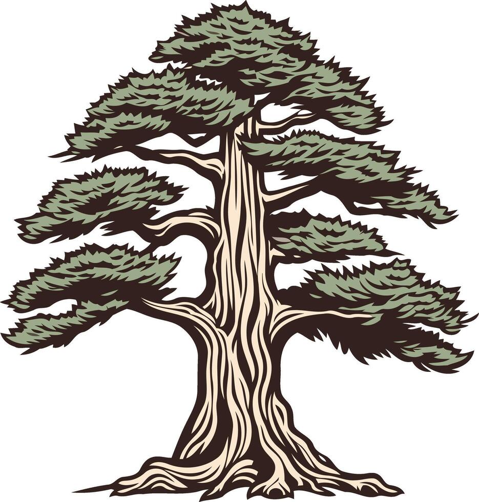 A Detailed Illustration of a Tall Tree vector