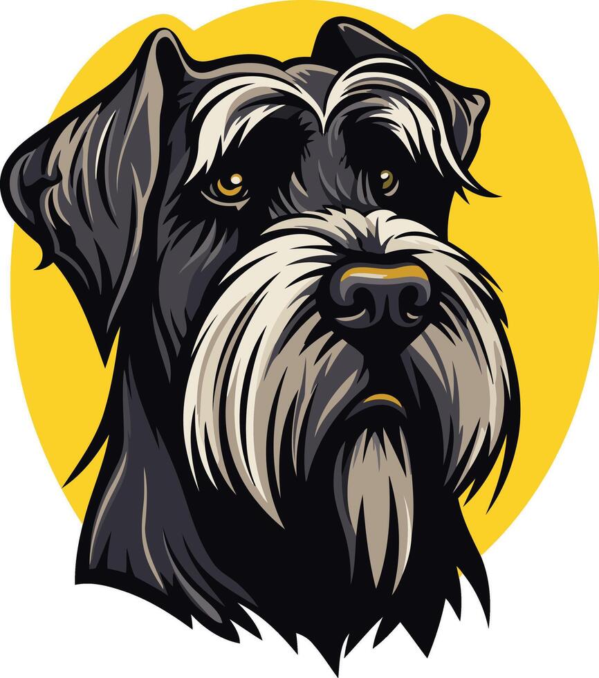 A Close-Up Portrait of a Black and White Standard Schnauzer vector