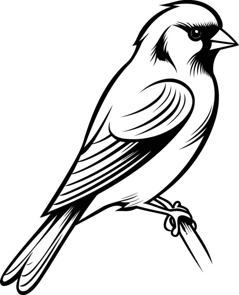 A simple yet detailed line drawing of a bird, perfect for tattoo designs, nature illustrations, or minimalist artwork vector