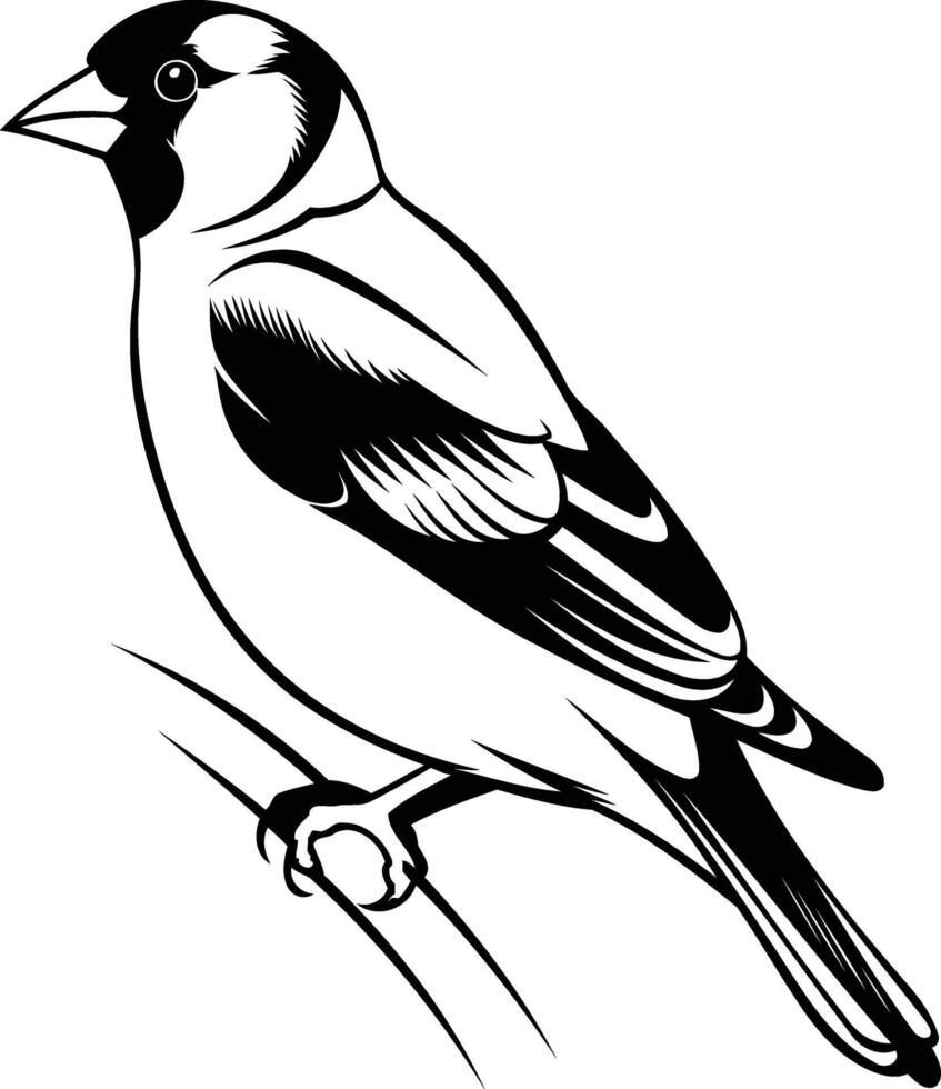 A striking black and white illustration of a bird, captured in a dynamic pose, perfect for adding a touch of nature to designs vector