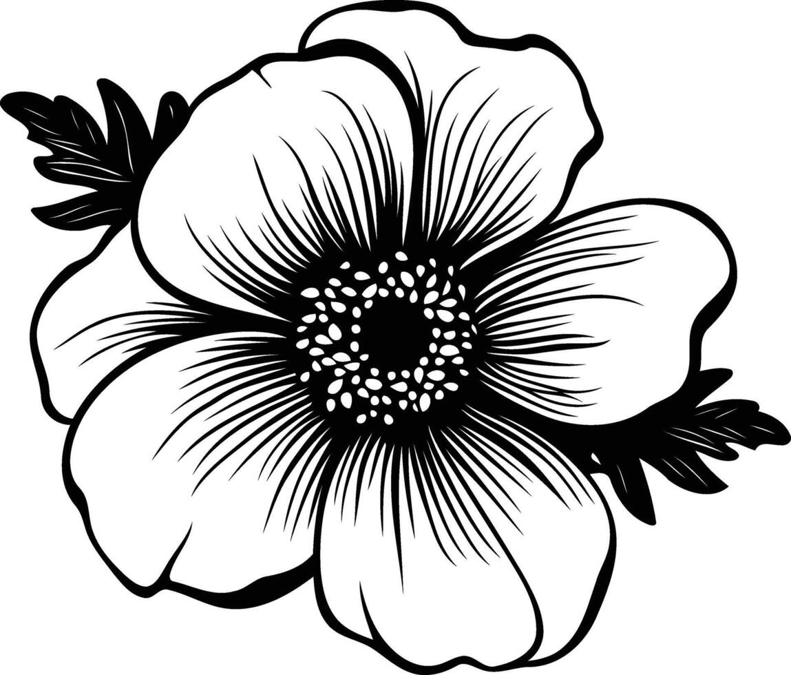 Elegant black and white line art illustration of an anemone flower vector