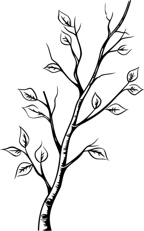Simple, elegant black and white illustration of a tree branch with leaves vector