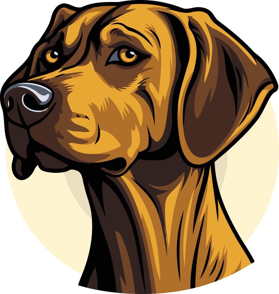 Portrait of a Weimaraner Dog vector
