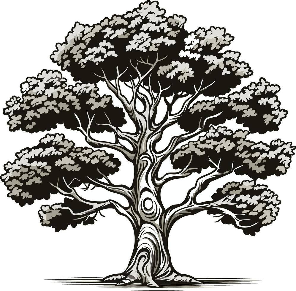 Detailed Illustration of a Large Tree vector