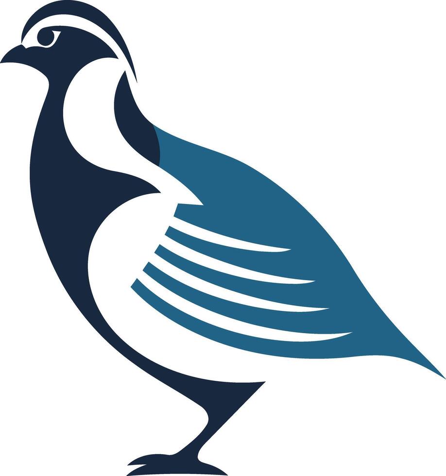 Stylized Blue and White Quail Illustration vector