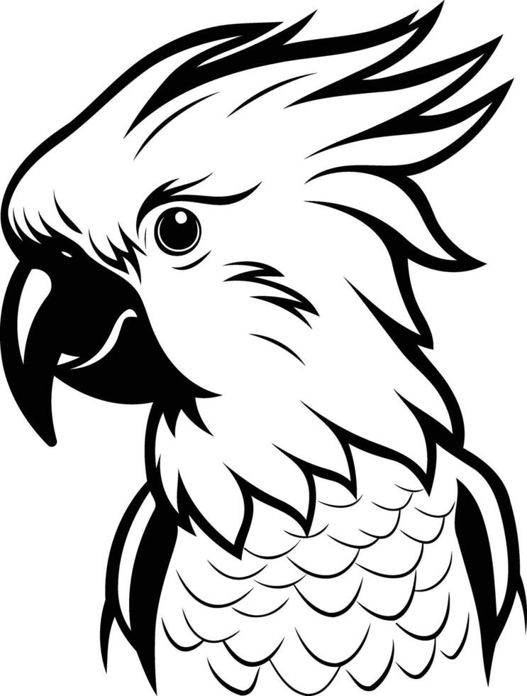 Black and White Illustration of a Parrot Head vector