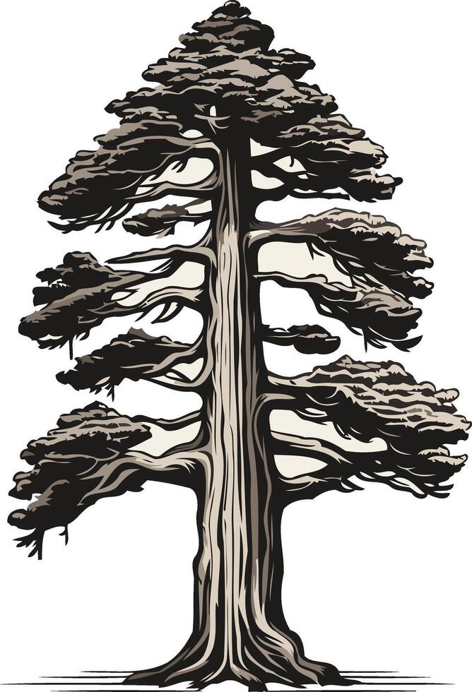 Tall Pine Tree Illustration vector