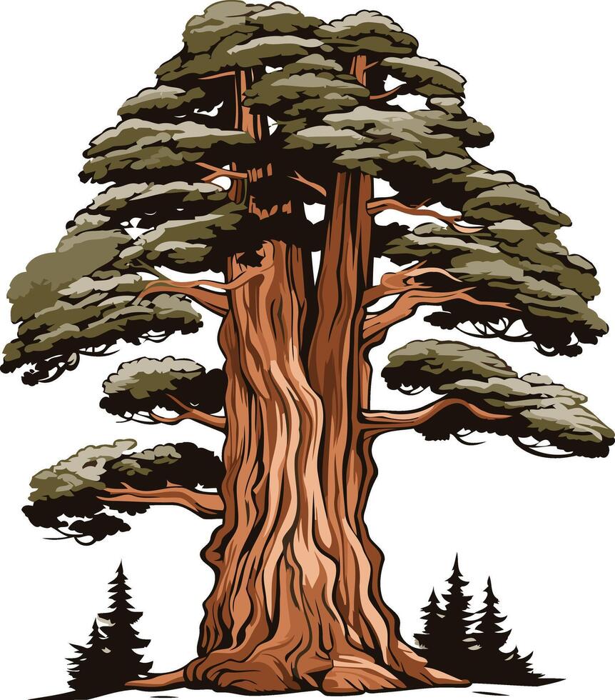 Majestic Redwood Tree Illustration vector