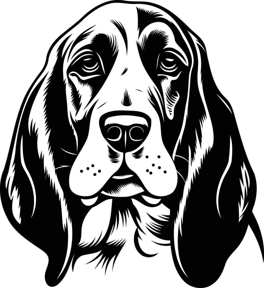 Black and white illustration of a basset hound's head vector