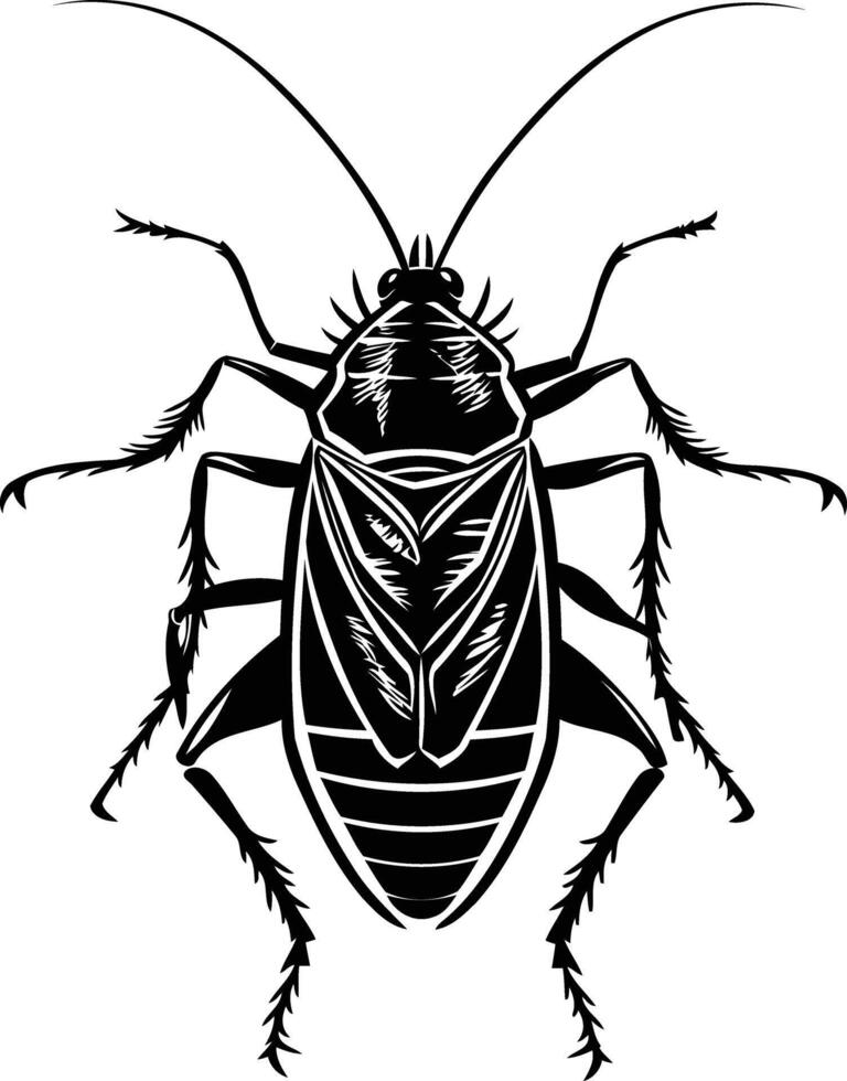 Black and White Illustration of a Cockroach vector