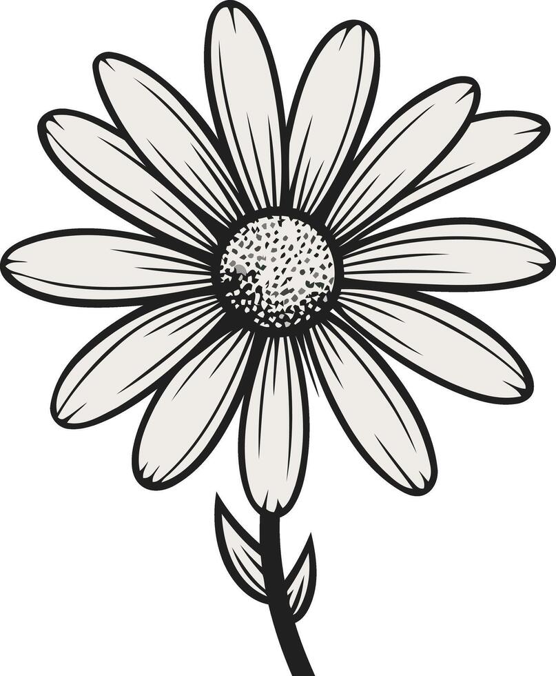 Black and White Illustration of a Daisy vector