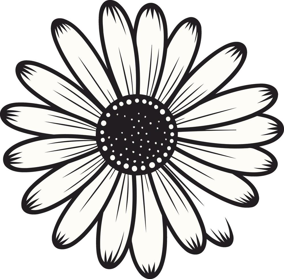 Black and White Illustration of a Daisy vector