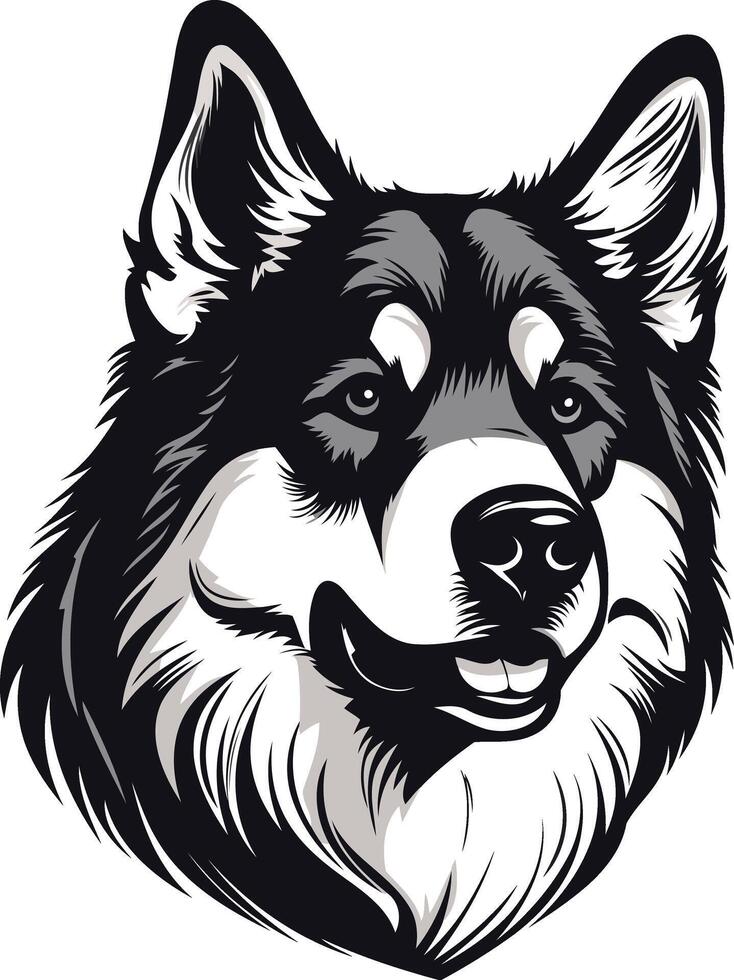 Alaskan Malamute Dog Portrait vector