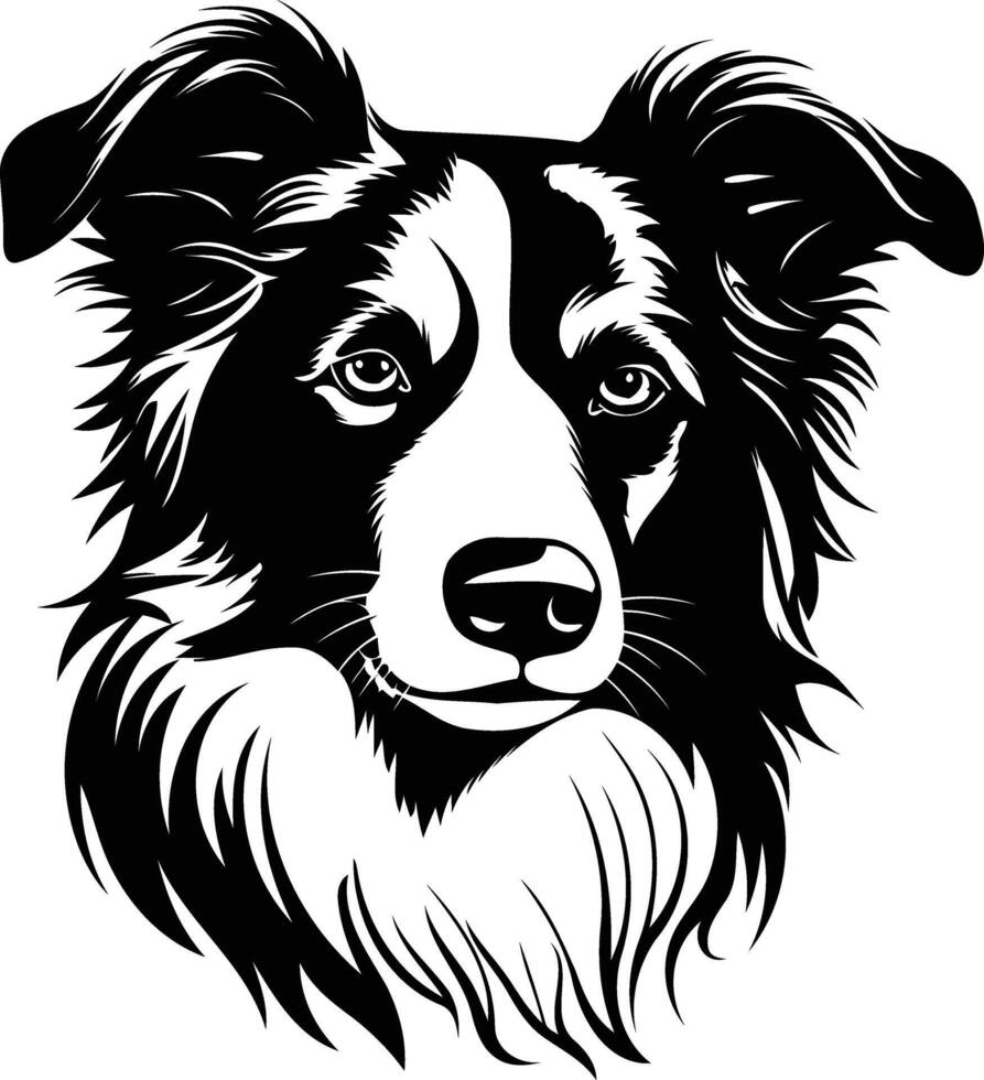 A striking black and white silhouette of a border collie, capturing its intelligent and loyal nature vector