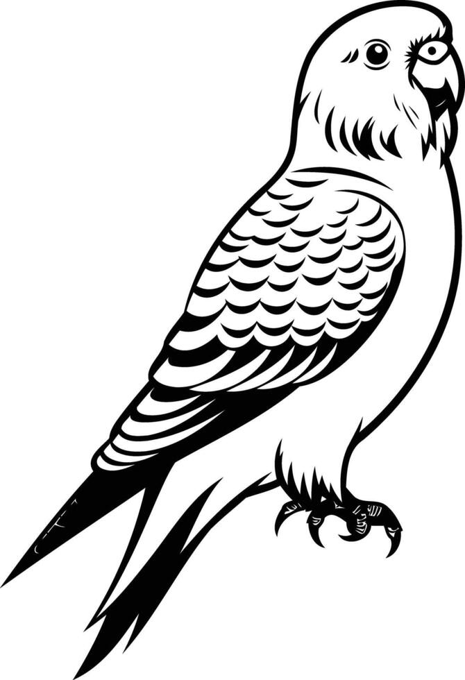 A simple line art illustration of a budgie or parakeet, perfect for coloring pages, tattoos, or logos vector