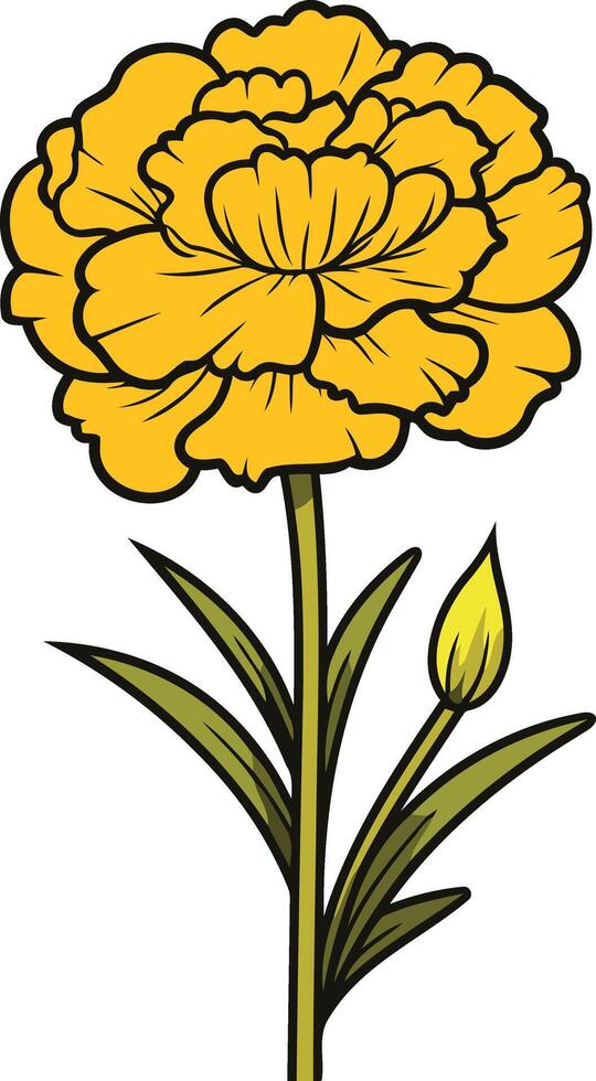 Single Yellow Marigold with a Bud vector