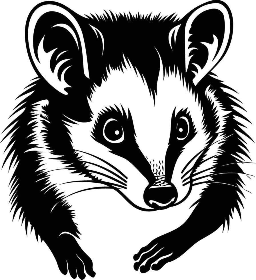A striking black and white illustration of a raccoon's face vector