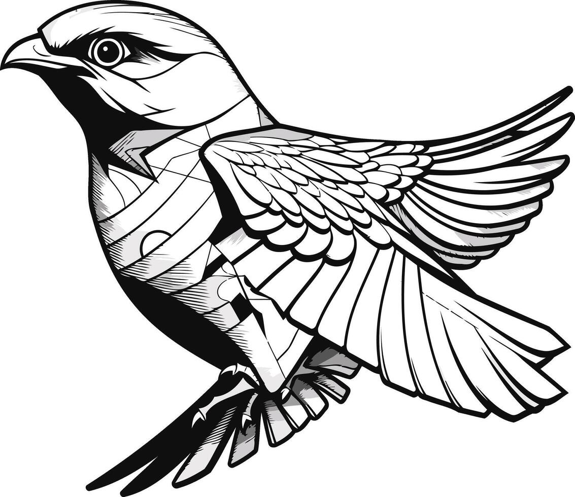 Detailed Illustration of a Bird in Flight vector
