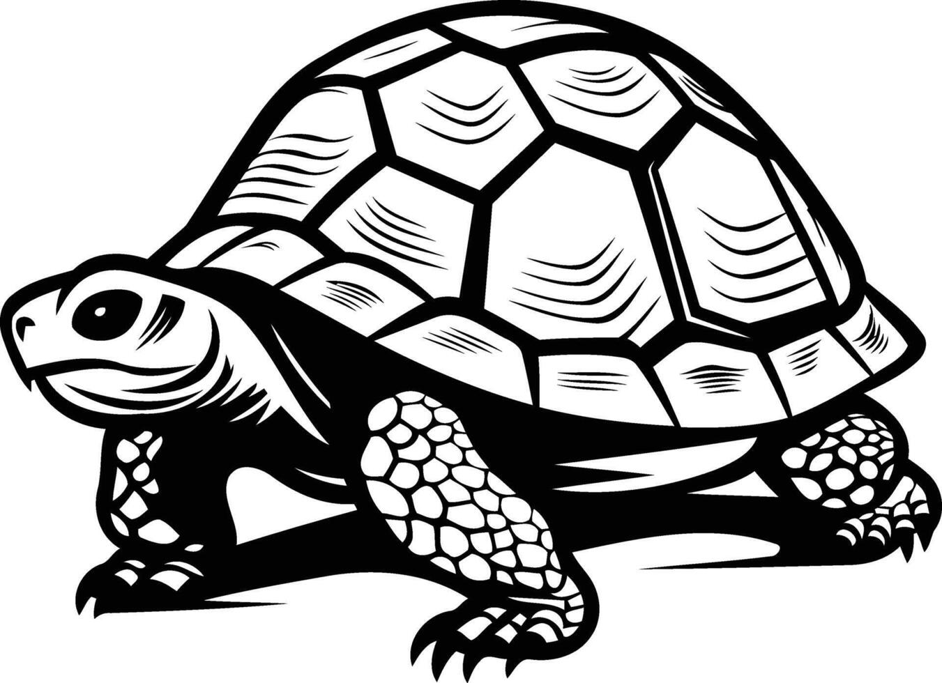 Black and white illustration of a turtle, perfect for branding, tattoos, and more vector