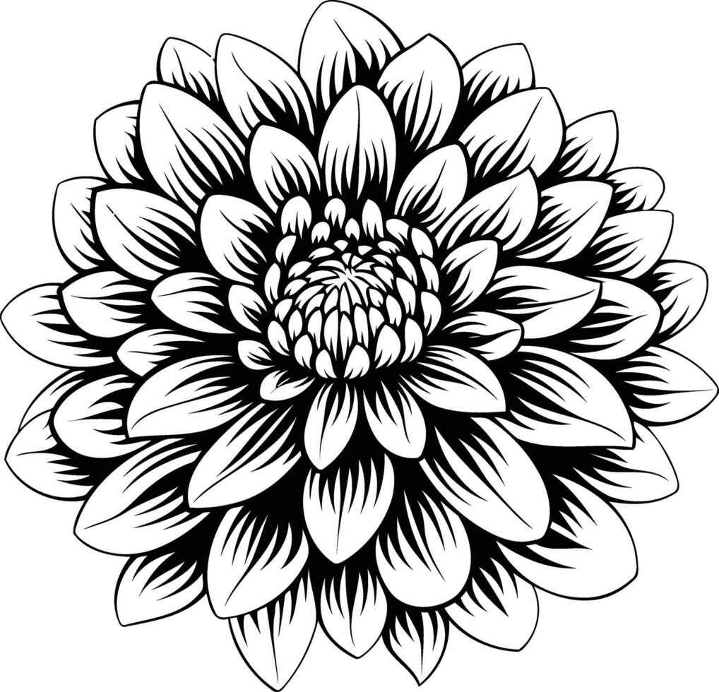 Black and white illustration of a delicate dahlia flower, perfect for tattoos, design, and more vector