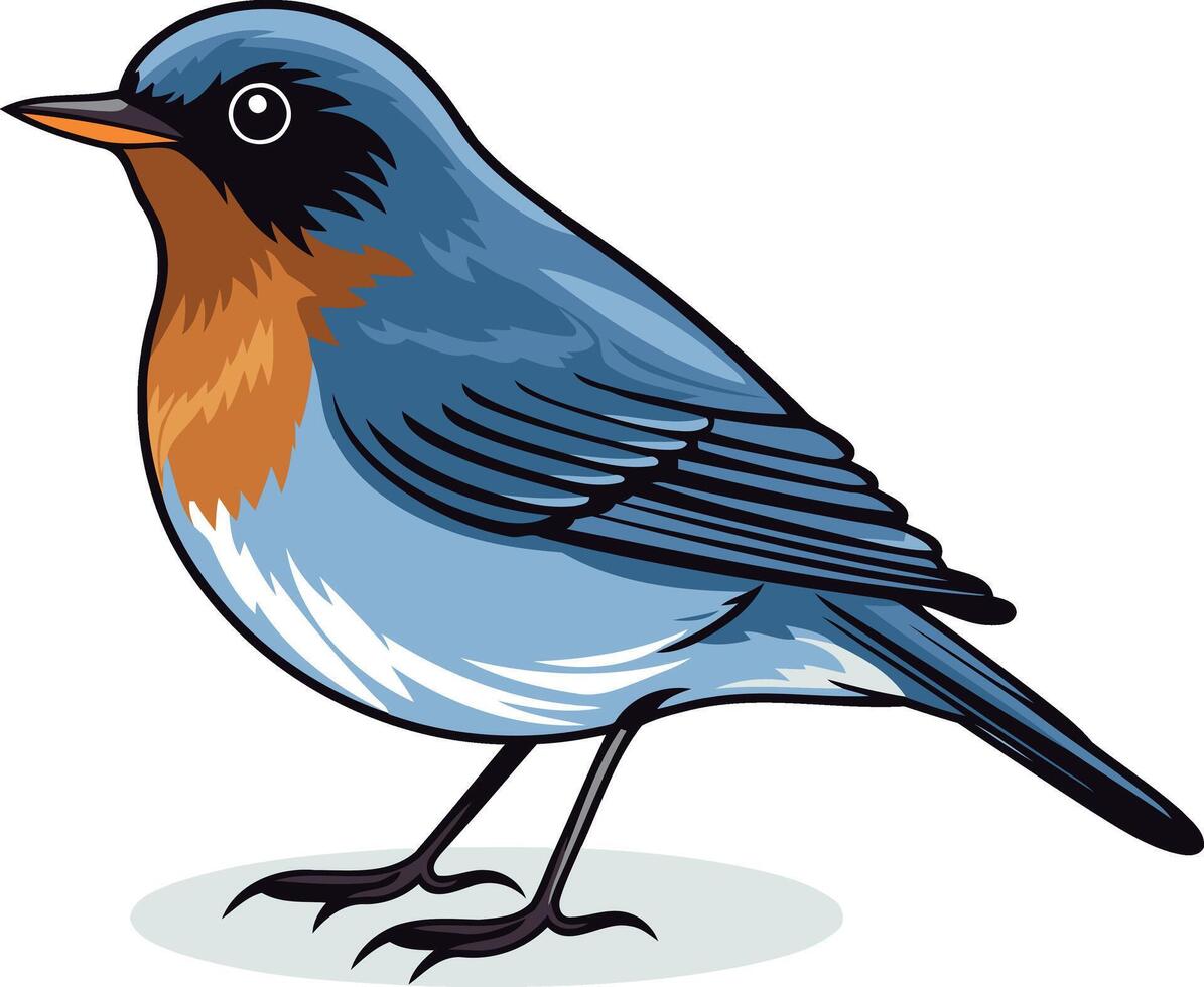 Cartoon Illustration of a Bluebird vector