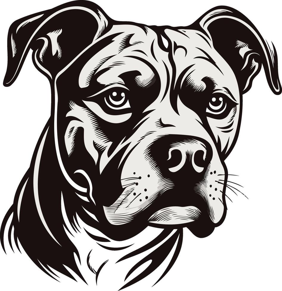 Portrait of a Pitbull Dog vector
