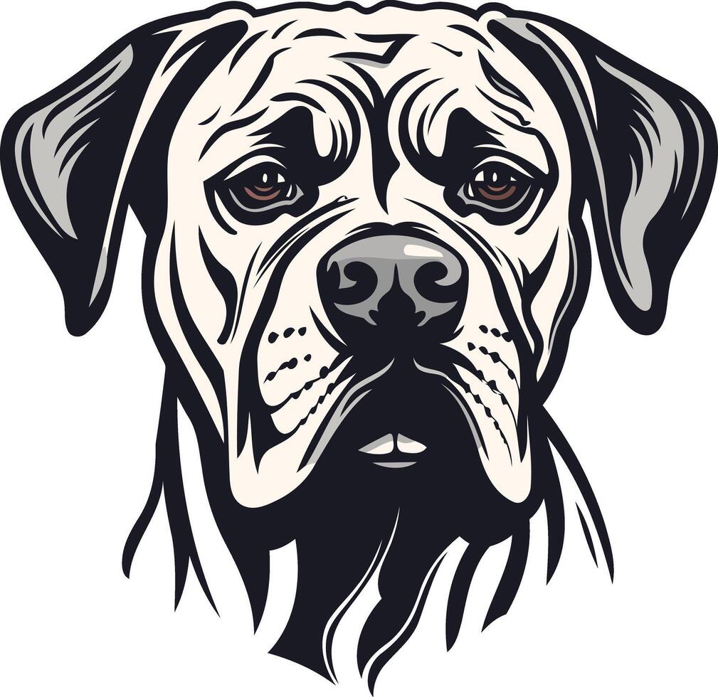 Close up Portrait of a Bulldog vector