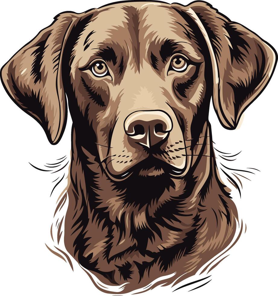 Portrait of a Chocolate Labrador Retriever vector