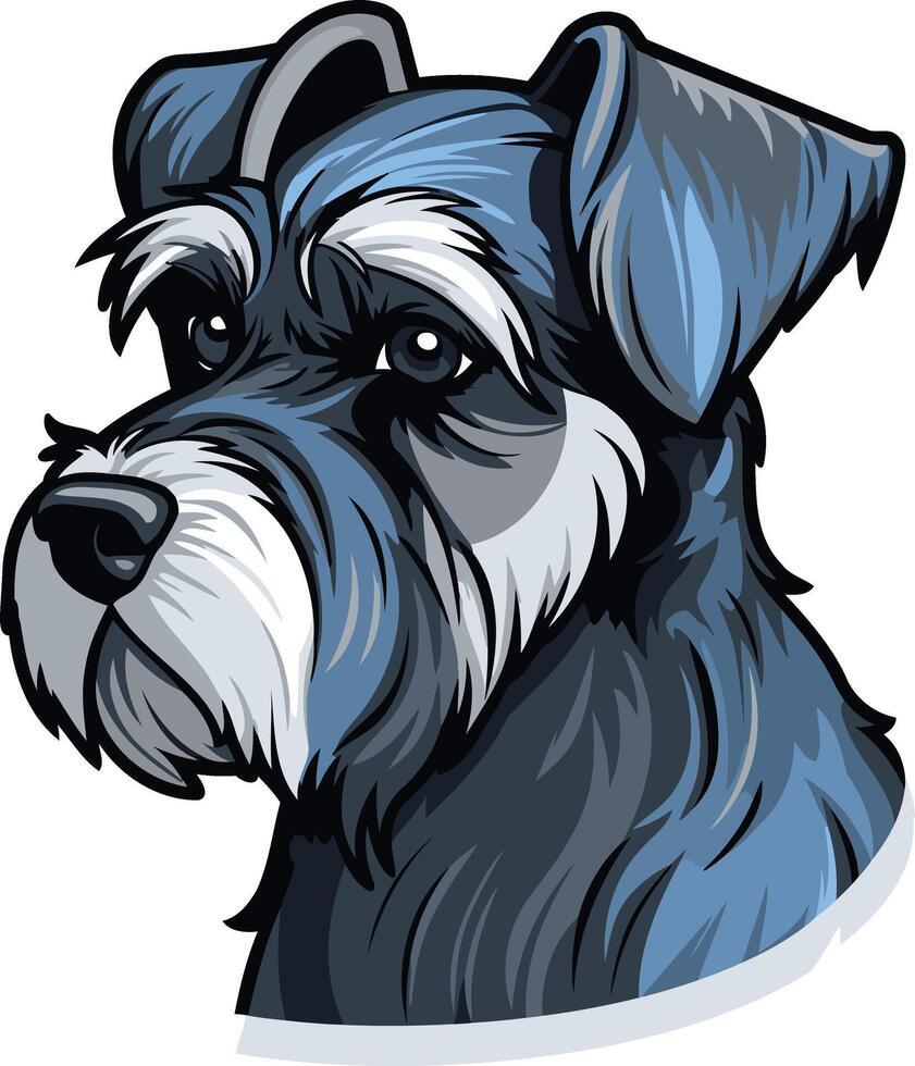 Portrait of a Miniature Schnauzer vector
