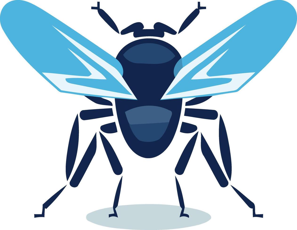 Blue Bug with Wings Spread vector