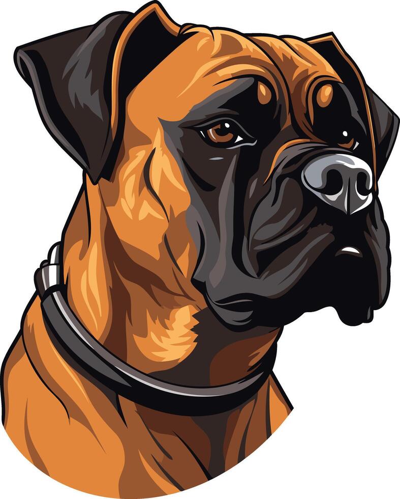 Portrait of a Brown Boxer Dog vector