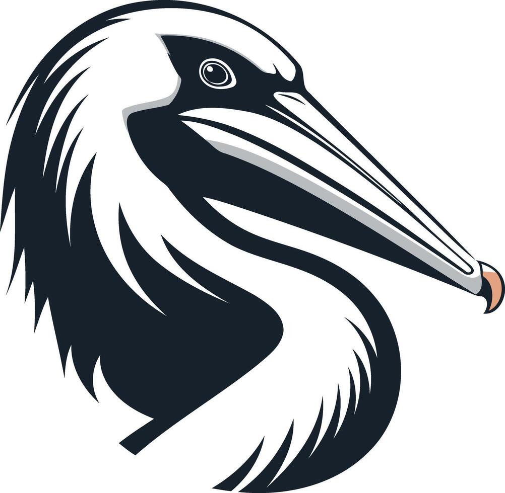 Pelican Head Illustration vector