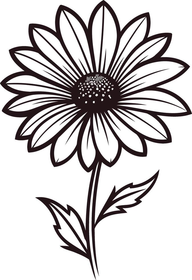 Black and White Illustration of a Daisy vector