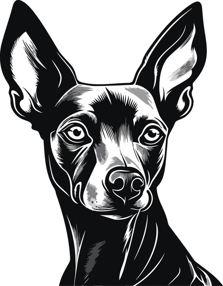 Portrait of a Black and White Dog vector