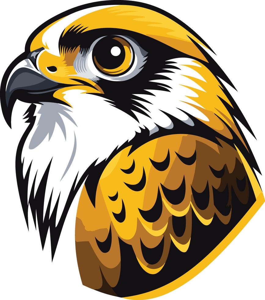 Golden Hawk Head Illustration vector